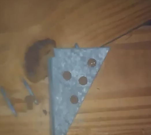 Eye-level view of a house roof being inspected for wind resistance