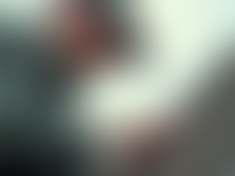 Understanding the Role of a Florida Home Inspector: Essential Services by Florida Home Inspectors