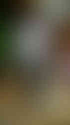 Huishan Zhang Autumn Winter 2025 Collection. The Dorchester, London Fashion Week, February 22nd 2025