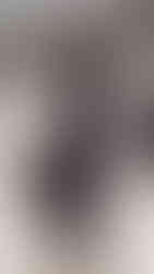 5ELEVEN Magazine MFW TOD'S Fall Winter 2026 Collection. Milan, February 27th, 2026