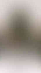 5ELEVEN Magazine PFW Celine Fall Winter 2026 Collection. Paris, March 7th 2026 Michael Rider