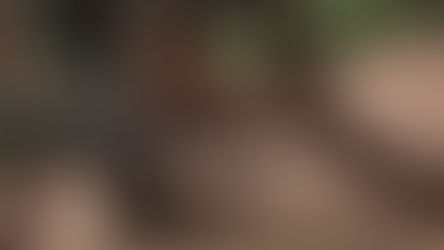 5ELEVEN Magazine TOD'S Fall Winter 2026 Collection. Milan, January 18th, 2026