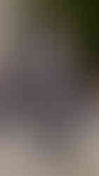 Didu Spring Summer 2024 Collection. Paris, 27 September 2023 PFW Paris Fashion Week SS24