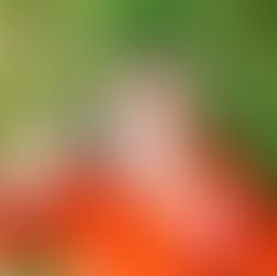 Photographer, film director, and publisher Michel Haddi has created some of the world’s most iconic images including David Bowie, 2Pac Shakur, Kate Moss, Arielle Burgelin and The Legend books series including Hollywood and Flore de Mal