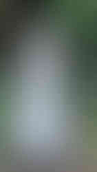 5ELEVEN Magazine Collections LFW Fashion Week Susan Fang Spring Summer 2026 collection, London, September 22nd, 2025