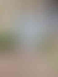 5ELEVEN Magazine PFW SS26 Bernadette Spring Summer 2026 collection, Paris, October 4th, 2025