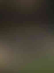 5ELEVEN Magazine TOD'S Fall Winter 2026 Collection. Milan, January 18th, 2026 