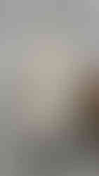 Jil Sander Spring Summer 2024 Collection. Milan, 23 September 2023 MFW Fashion Week