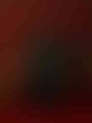 Tolu Coker Autumn Winter 2025 Collection. London Fashion Week LFW, February 23rd 2025