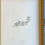 Thumbnail: Banks' Florilegium Plate 135 SESUVIUM PORTULACASTRUM (AIZOACEAE)