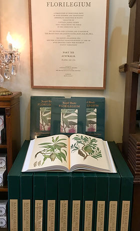 About Banks' Florilegium | FlorilegiumGallery