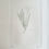 Thumbnail: Banks’ Florilegium Plate 213 MITRASACME POLYMORPHA (LOGANIACEAE)