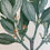 Thumbnail: Banks' Florilegium Plate 149 CANTHIUM COPROSMOIDES (RUBIACEAE)