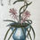 Thumbnail: Cereus (Cactus) Tab 30
