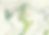 lost-wood-story-avington-nolegend_2.png