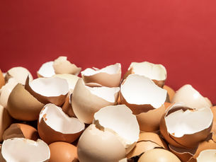 What is Eggshell Membrane and How It Helps Dog Joint Health