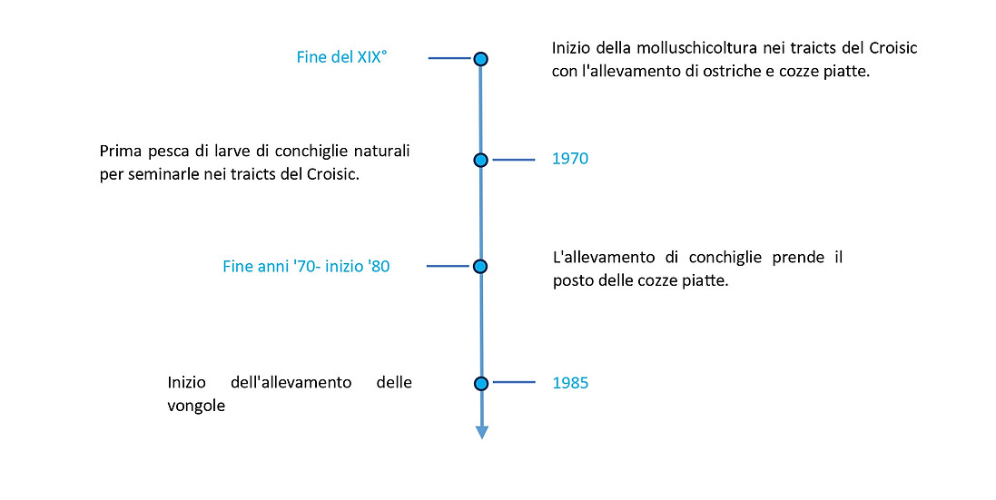 Histoire traicts du Croisic 2_page-0001 (4).jpg