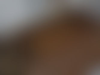 Bissell Carpet Sweeper