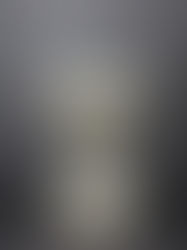 Copy of Standard Computing Scale Co.