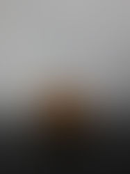 Armour Quality Products Wooden Toy Bank