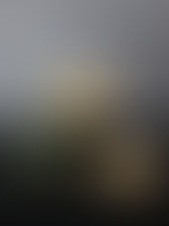 Stamps Saver Books and Stamp Sheets