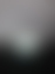 Pyrex “Butterprint” Bowl Set