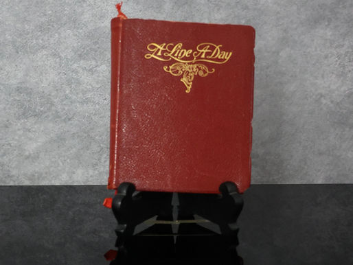 Dairy of a Traveling Victorian Woman