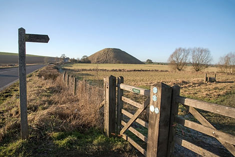 Wiltshire Council passes motion to proactively support local farmers