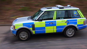 ‘Some sort of projectile’ shot at driven pony on main road