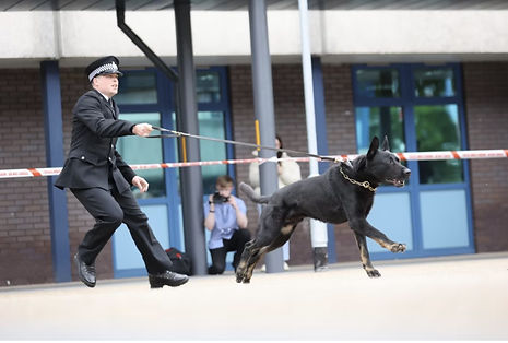 Police dog helps arrest A1 fuel theft suspects