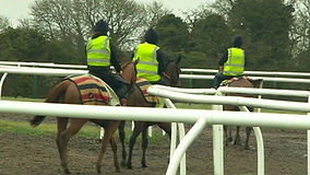 Racehorse trainers in West Berkshire struggling to hire skilled staff amid shift from rural life