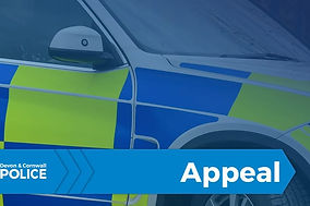 Farm equipment stolen after being advertised for sale on a selling site