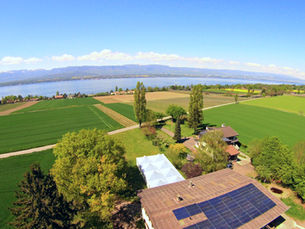 Domaine des Champs-Lingot