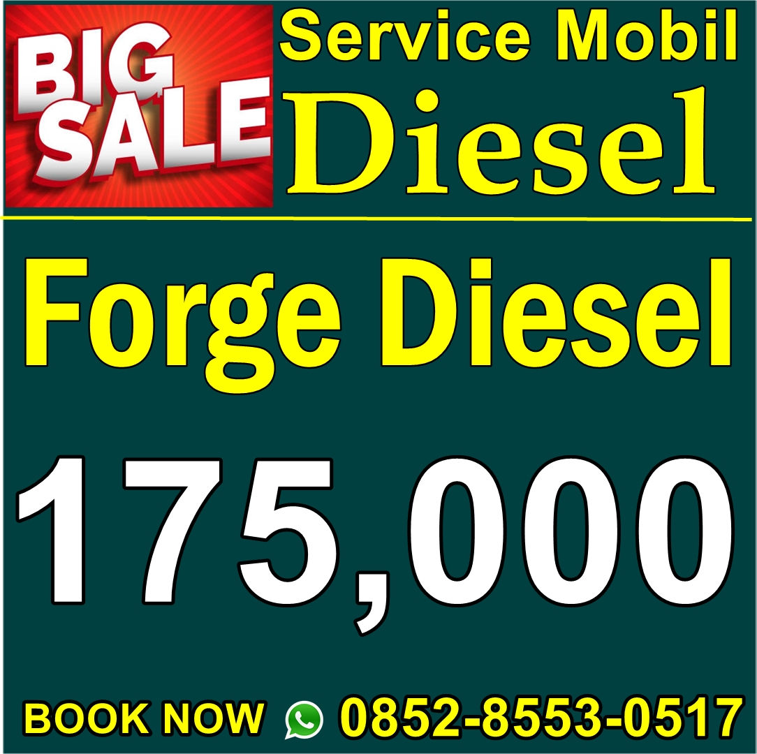 PURGE DIESEL