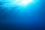 AdobeStock_188147617.jpeg
