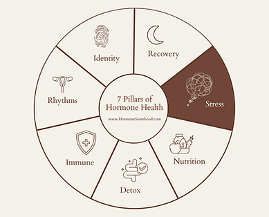 Stress and hormone health.png