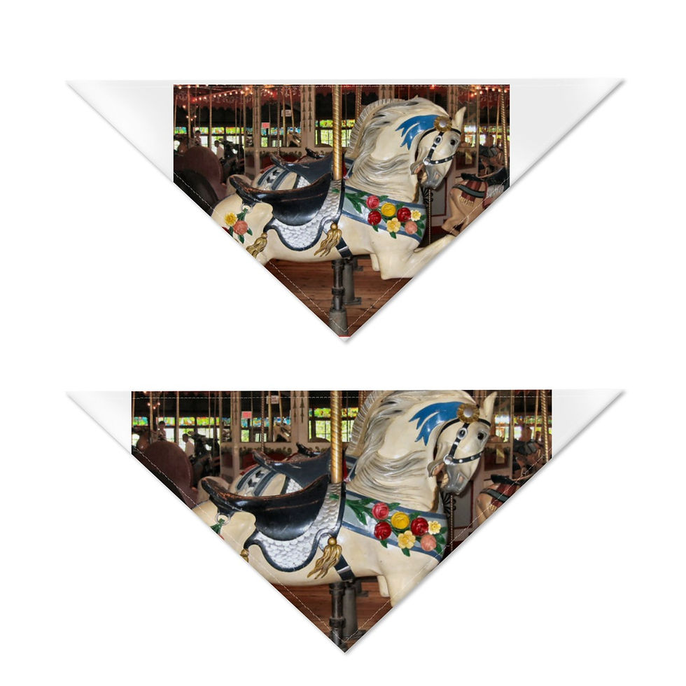 Thumbnail: Bushnell Park Carousel Lead Horse Pet's Scarf