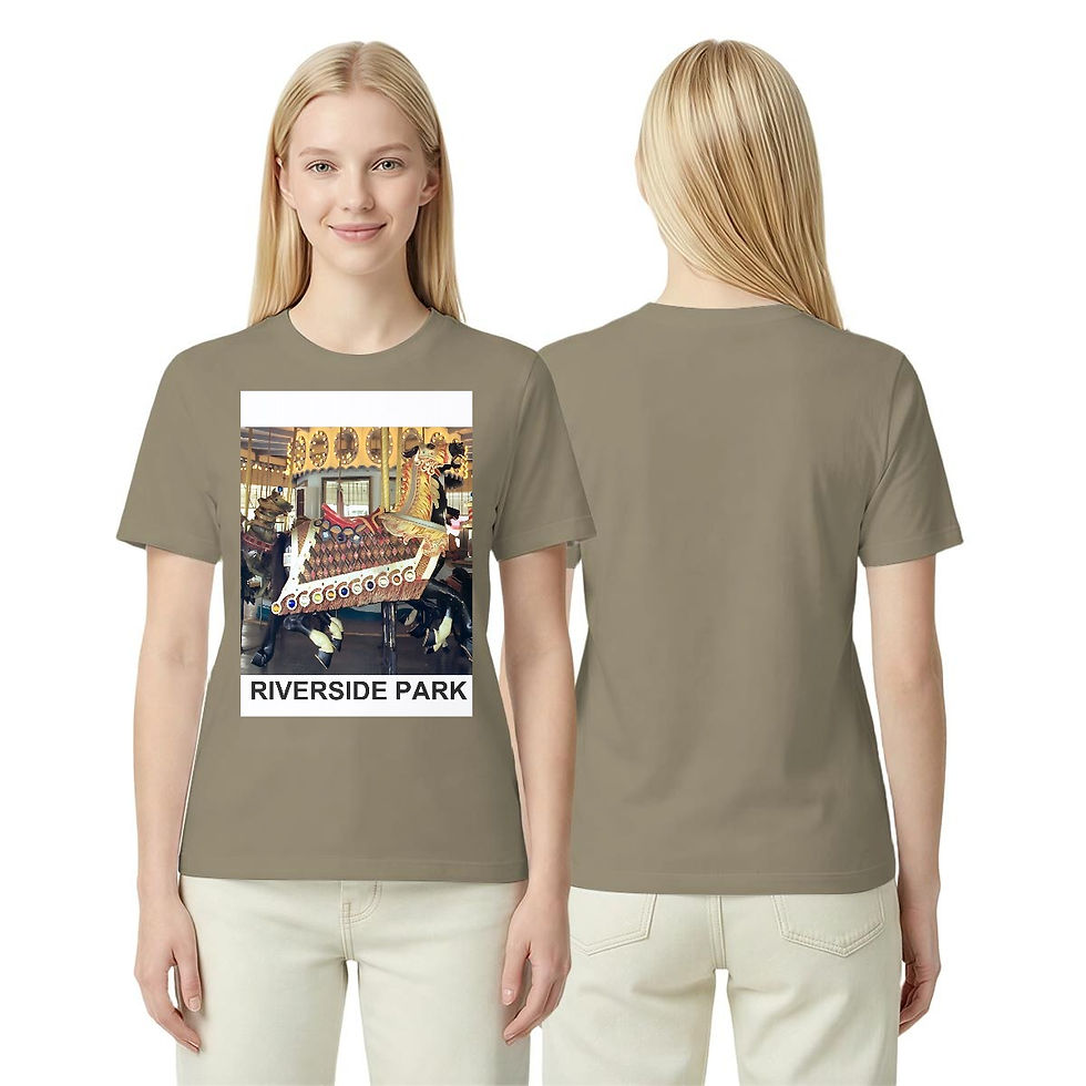 Thumbnail: Riverside Park Carousel Color Women's T-Shirt