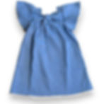 Flutter Sleeve Denim Dress