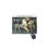 Thumbnail: Lake Compounce Carousel Pinto Outside Row Stander Horse Mouse Pad