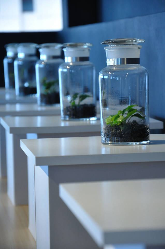 IN THE BOTTLE BY BOTANIST