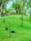 DSC_7762.jpeg