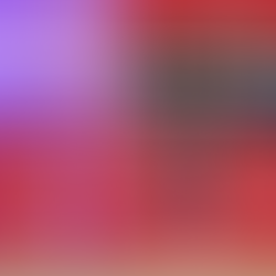 Bring French and Spanish to life in the UK!