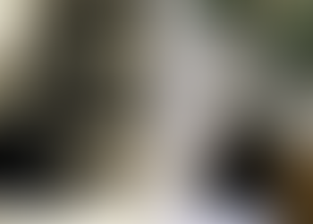 Yoko Ono llega a México con 'Tierra de Esperanza' para mejorar al país