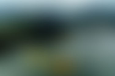 ¿Creías que era imposible caminar sobre el agua?