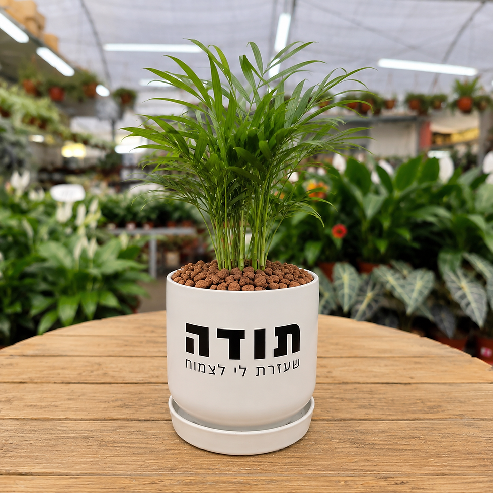 תמונה ממוזערת: עציץ ירוק - משפטי תודה