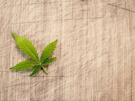 Píldoras de marihuana para reducir dolor postoperatorio