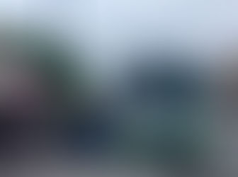 Belize Bus Drivers DGAF