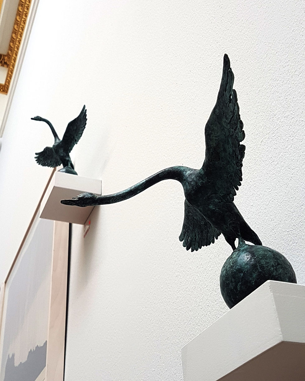 Swan on ball I & II