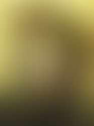 Exhibitor Notes & Boxoffice Estimate - PLANE (R)